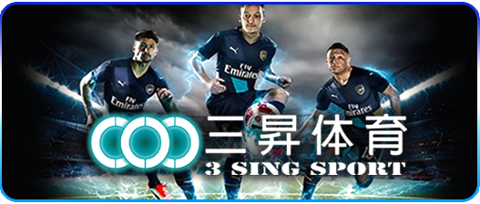 2-3singsport